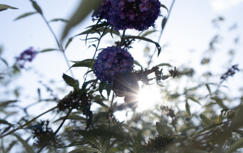 Frisse start, jouw kans op vitaliteit